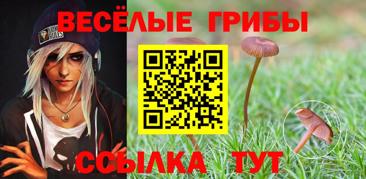 Галлюциногенные грибы GOLDEN TEACHER Реж